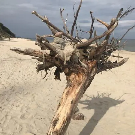 Frieda - Whg Le Desir